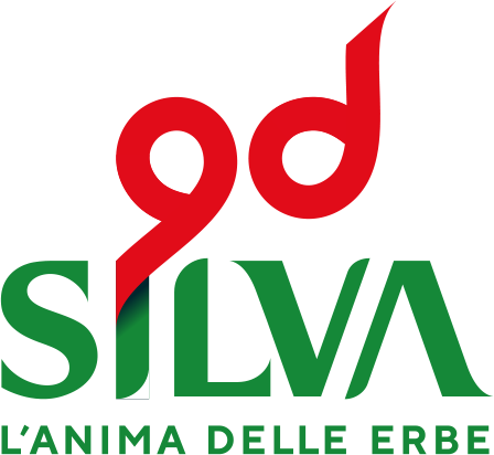 VEDUNCHI - silva LOGO-800x800