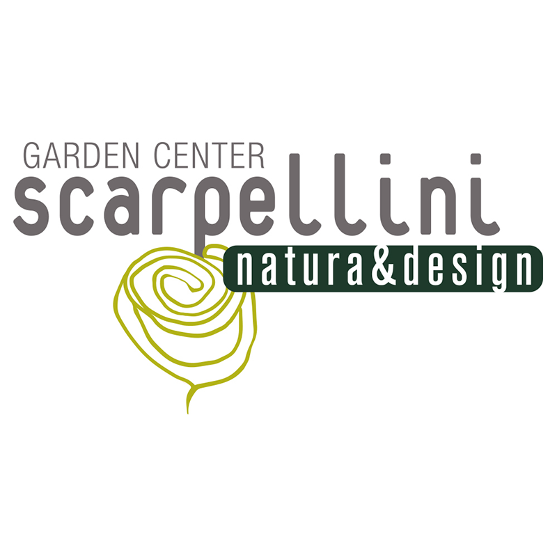 scarpellini_logo-800x800