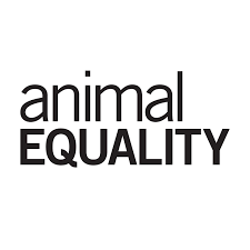 ANIMAL EQUALITY - LOGO