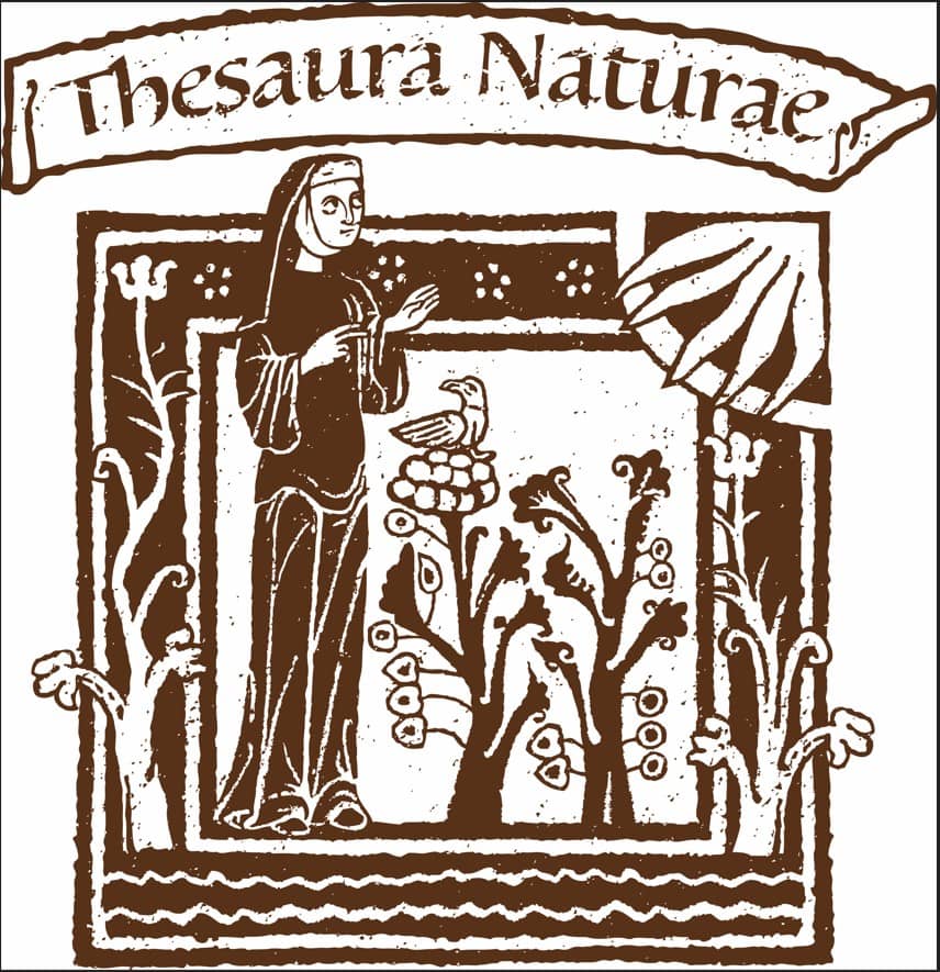 THESAURA_NATURAE - logo (1)